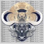 bull_tp avatar