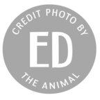 edtheanimal avatar