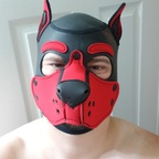 gideongeekypup avatar