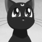 kittentears avatar