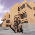 sinfulslothslut avatar