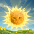 solarkitty avatar